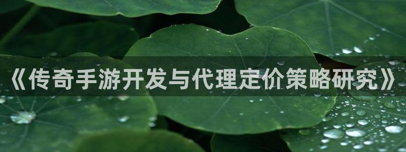 远赢娱乐是正规平台吗：《传奇手游开发与代理定价策略研究》