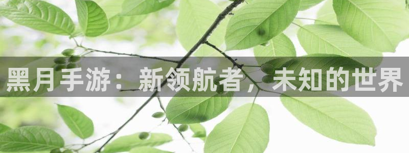万赢娱乐网址多少：黑月手游：新领航者，未知的世界