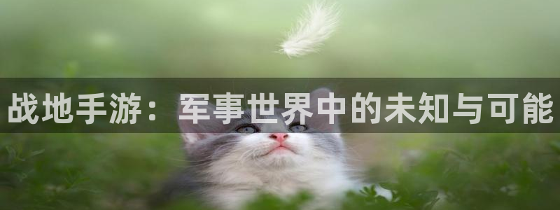 万赢棋牌：战地手游：军事世界中的未知与可能