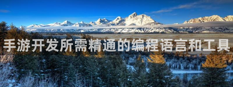 万赢娱乐网址多少：手游开发所需精通的编程语言和工具