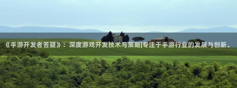 万赢娱乐游戏平台：《手游开发者答疑》：深度游戏开发技术与策略