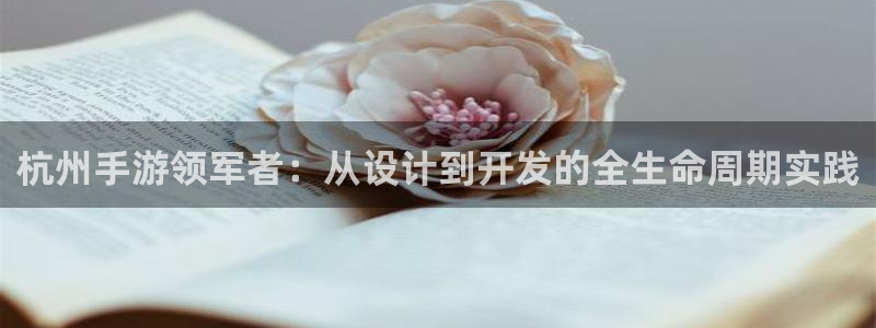 万赢娱乐评论区：杭州手游领军者：从设计到开发的全生命周期实践