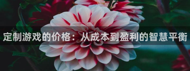 万赢娱乐三日一富下载：定制游戏的价格：从成本到盈利的智慧平衡