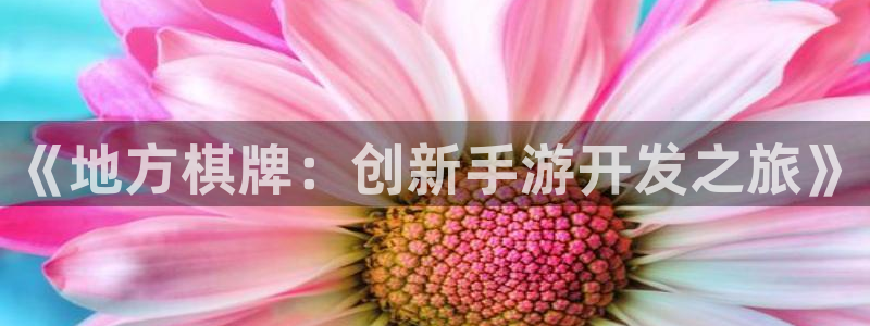 万赢娱乐app官网入口：《地方棋牌：创新手游开发之旅》