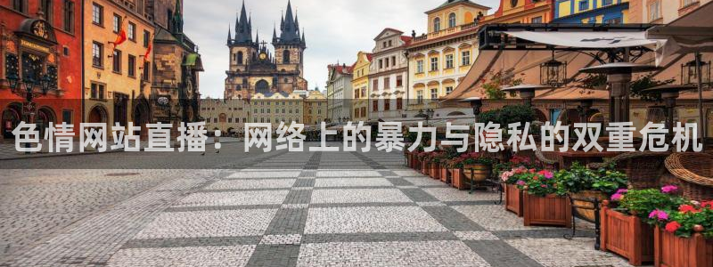 jrs小九直播低调：色情网站直播：网络上的暴力与隐私的双重危机