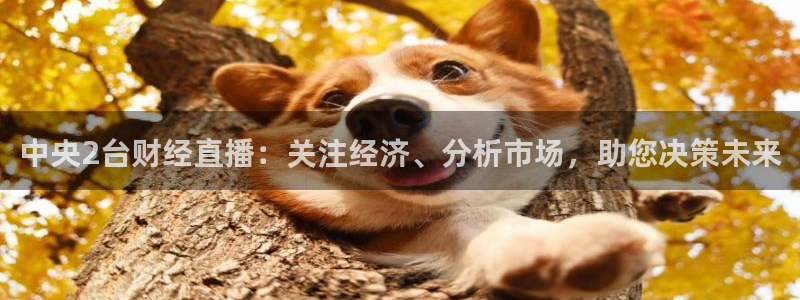足球小九直播在线观看：中央2台财经直播：关注经济、分析市场，助您决策未来