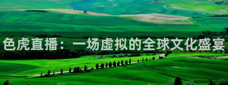 nba直播小九：色虎直播：一场虚拟的全球文化盛宴