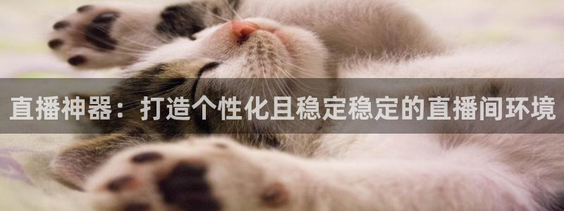 小九nba免费直播：直播神器：打造个性化且稳定稳定的直播间环境