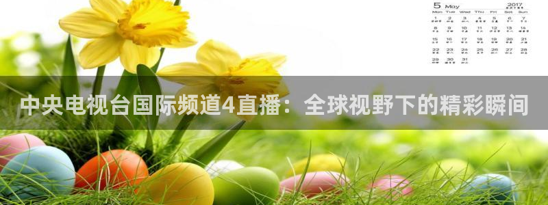 小九的视频：中央电视台国际频道4直播：全球视野下的精彩瞬间