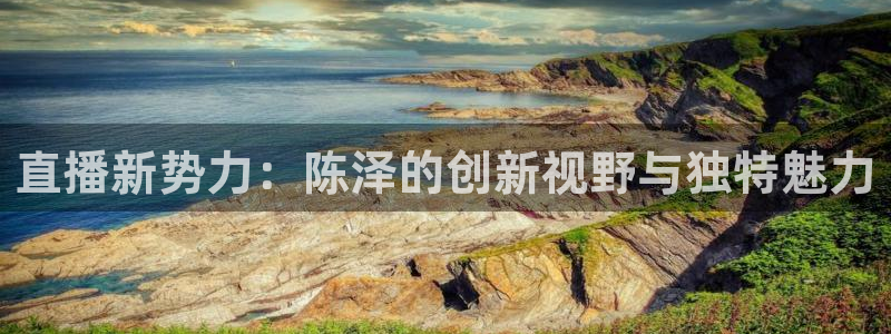 nba直播免费观看直播在线小九：直播新势力：陈泽的创新视野与独特魅力