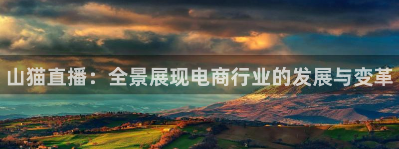 小九直播nba免费观看：山猫直播：全景展现电商行业的发展与变革