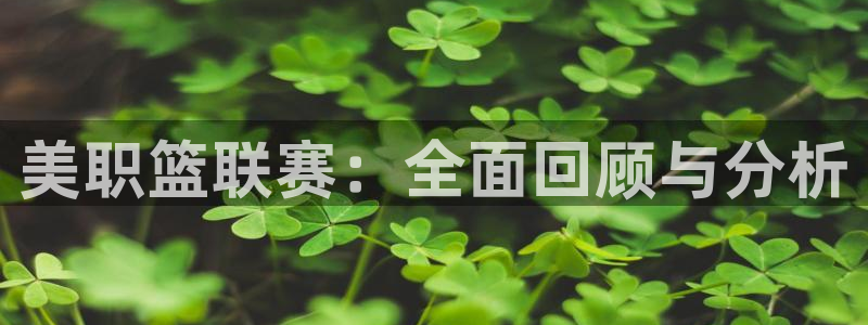 小九足球直播在线观看免费：美职篮联赛：全面回顾与分析