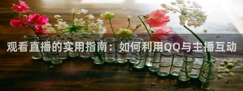 小九体育免费看球直播：观看直播的实用指南：如何利用QQ与主播互动
