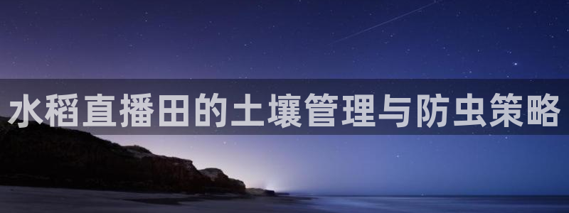 小九直播篮球nba：水稻直播田的土壤管理与防虫策略
