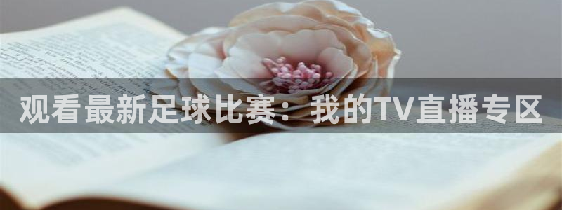 nba赛程直播在线观看视频小九：观看最新足球比赛：我的TV直播专区