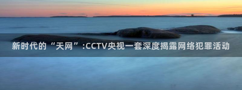 小九体育免费看球直播：新时代的“天网”:CCTV央视一套深度揭露网络犯罪活动