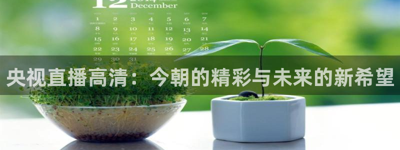 小九足球直播：央视直播高清：今朝的精彩与未来的新希望