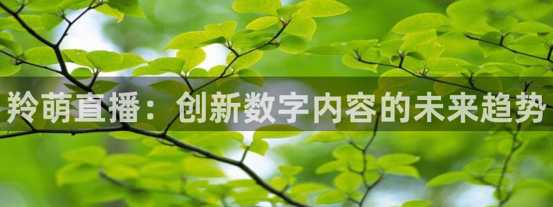 小九足球直播：羚萌直播：创新数字内容的未来趋势