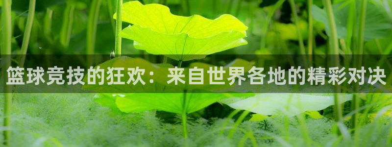 小九直播nba免费观看下载：篮球竞技的狂欢：来自世界各地的精彩对决
