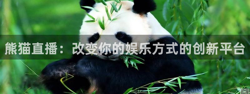 nba小九直播免费观看：熊猫直播：改变你的娱乐方式的创新平台