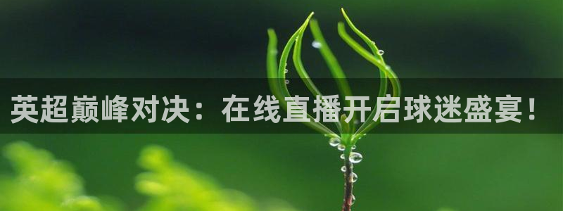 小九nba在线直播免费观看直播高清：英超巅峰对决：在线直播开启球迷盛宴！