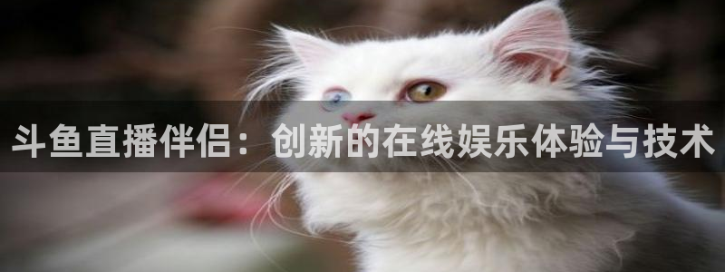 小九nba免费直播：斗鱼直播伴侣：创新的在线娱乐体验与技术