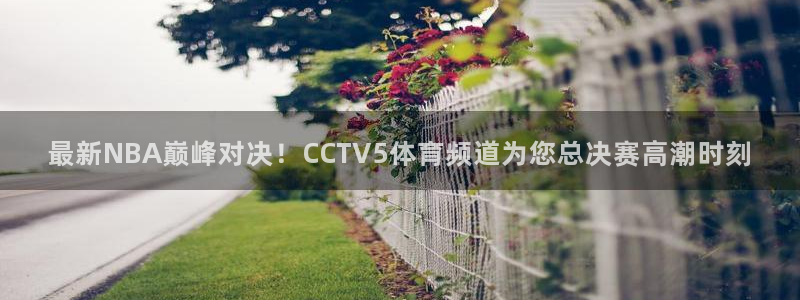 小九体育直播官网：最新NBA巅峰对决！CCTV5体育频道为您总决赛高潮时刻